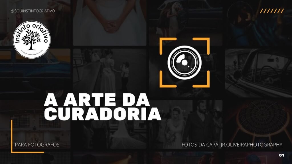 A arte da curadoria