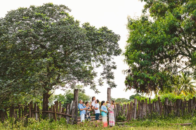 Passeio-na-Fazenda-15-768x512 Concurso de coleções premiada de Fotografia de Família - Primeiro Round