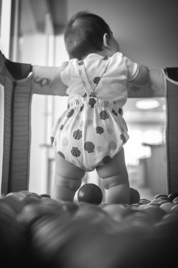 colecao-familia_joaquim_e_francisco_fotografado_por_ana_zago8 Concurso de coleções premiada de Fotografia de Família - Segundo Round