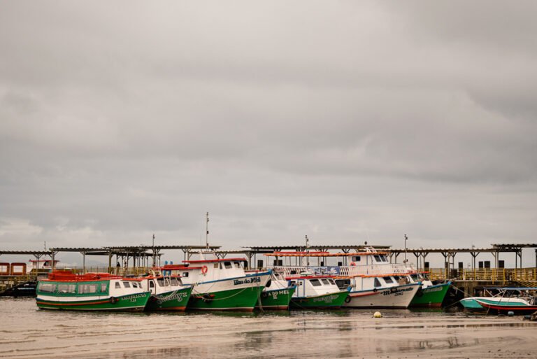 colecao_ensaios_paola_e_joao_fotografado_por_mateus_scheibel-9-768x513 Resultados - Concursos de coleções de fotografia de casamento e pré casamentos - Premiadas - primeiro round - 2025