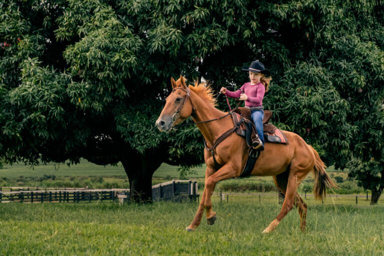colecao_familia_Lara_e_Radija_fotografadas_por_Estelle_Gautier_20-768x512 Resultados - concurso de coleções - Premiada de Familia e Festa Infantil - Primeiro Round 2025