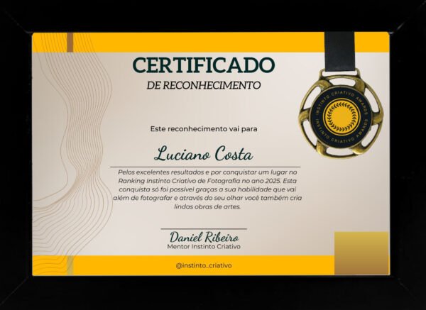 Quadro + Medalha para fotógrafos do ranking anual Instinto Criativo do top 11 em diante no ano 2025