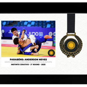 Quadro + Medalha  Instinto Criativo - Maior média de  uma coleção