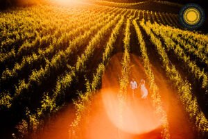 Maior média – Fotografia de Casamentos – 4º Round – 2025