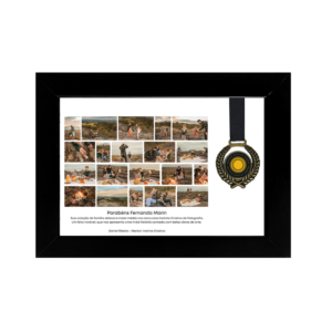 Quadro + Medalha  Instinto Criativo - Maior média - Concurso de coleção