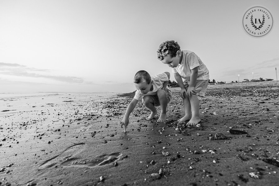 Menção honrosa 2026