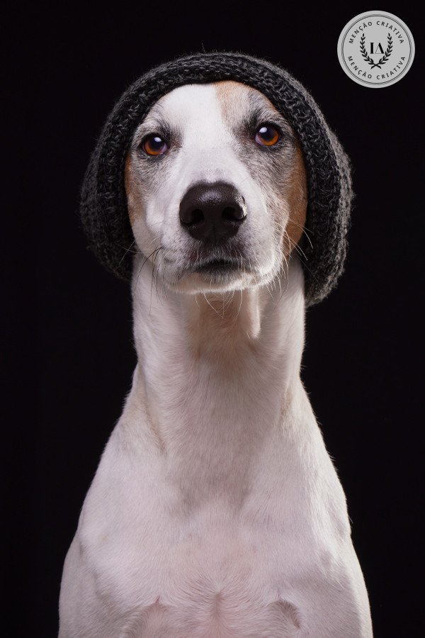 Joao Victor Mignoni - Concurso de Estudio 4º Round - 2025