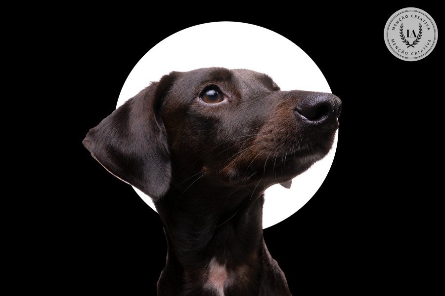 Joao Victor Mignoni - Concurso de Estudio 4º Round - 2025