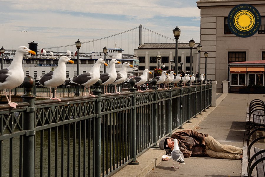 Angelica Oliveira - Concurso de Fotojornalismo 3º Round - 2025