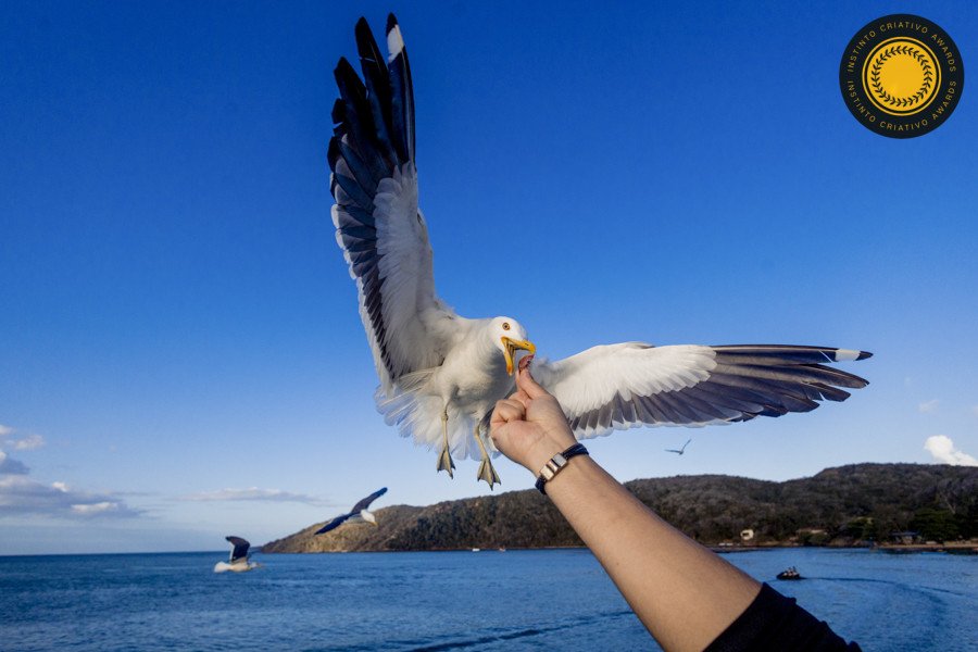 Diego Saldanha - Concurso de Fotojornalismo 3º Round - 2025
