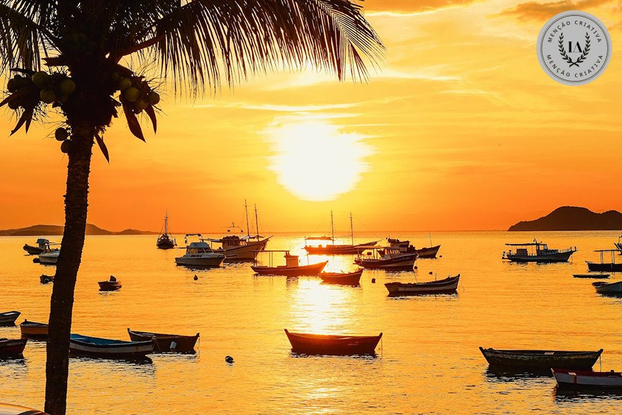 Marco Arejo - Concurso de Fotojornalismo 4º Round - 2025