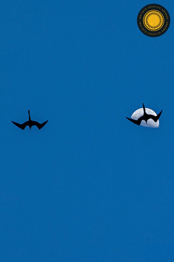 Tarik Baldan - Concurso de Fotojornalismo 4º Round - 2025