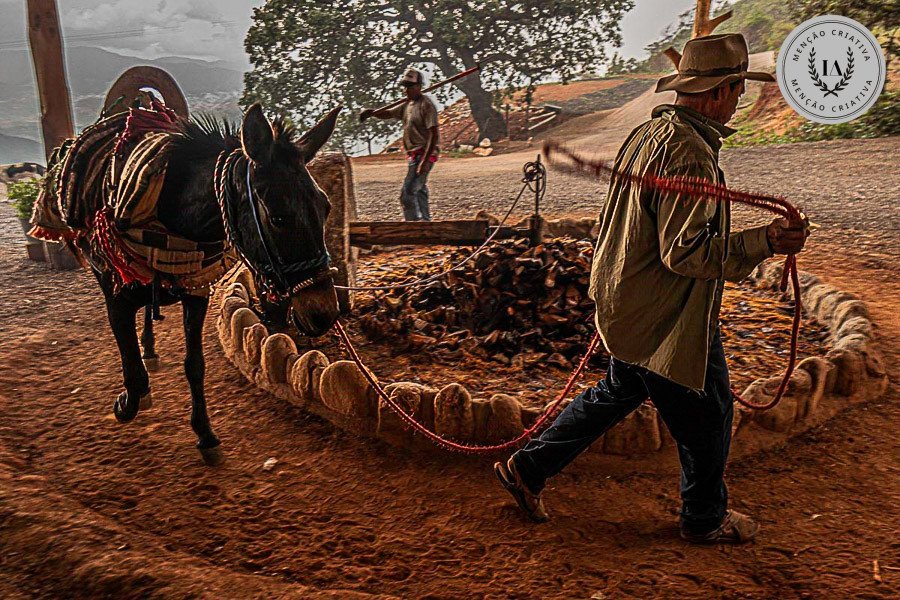 Alexandre Grand - Concurso de Fotojornalismo 1º Round - 2026