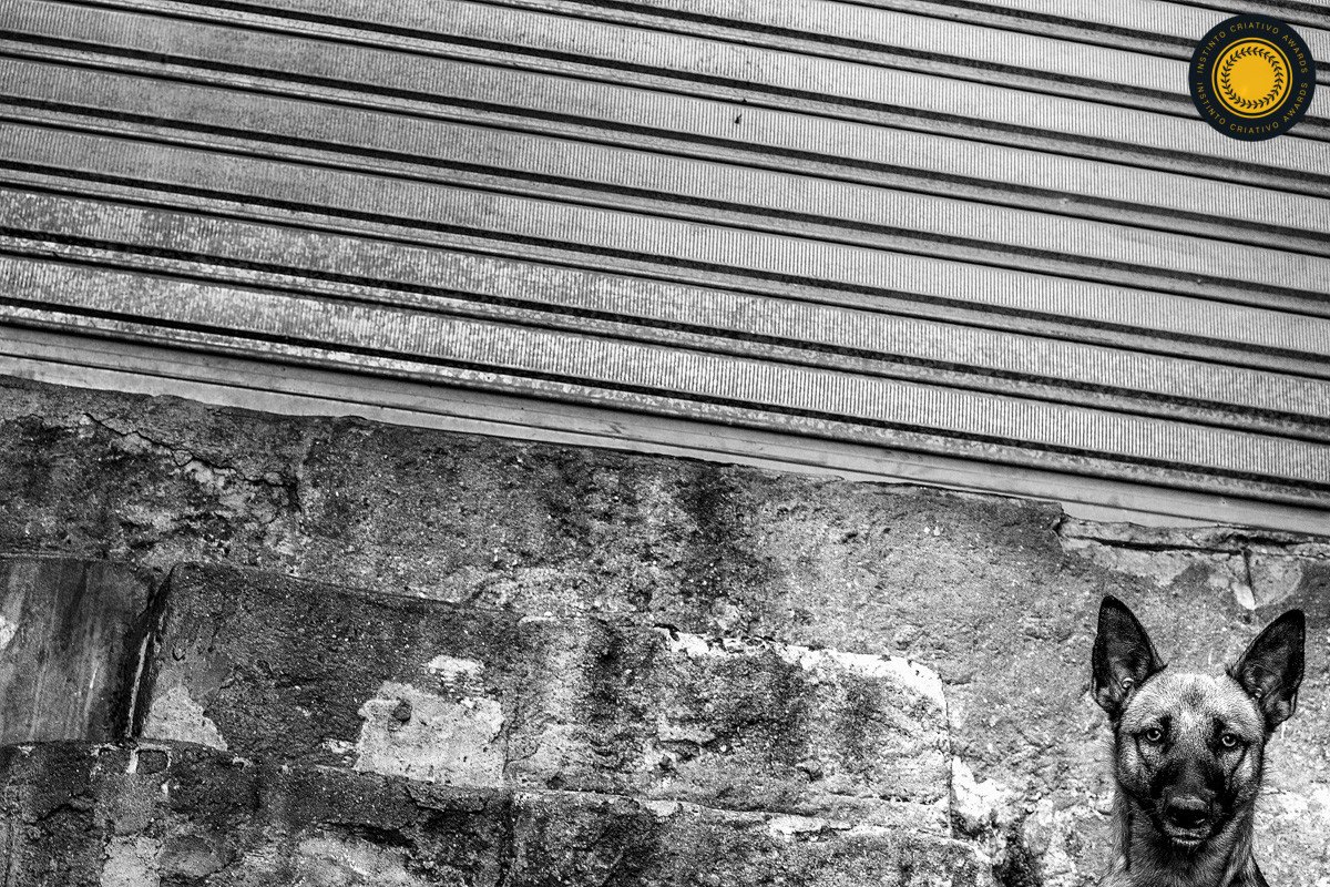 Alexandre Grand - Concurso de Fotojornalismo 2º Round - 2026