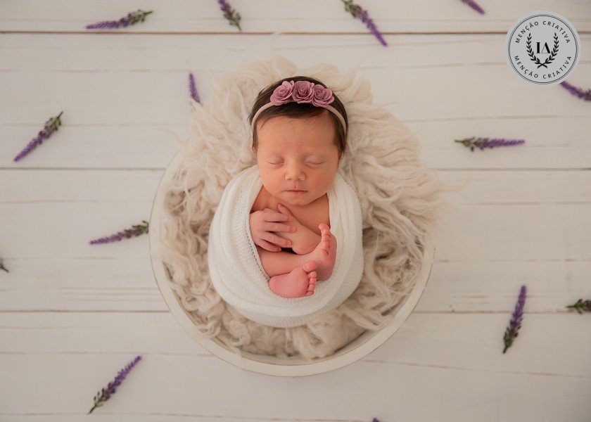 Carlos Eduardo Mosena Da Cruz - Concurso de Newborn 1º Round - 2025