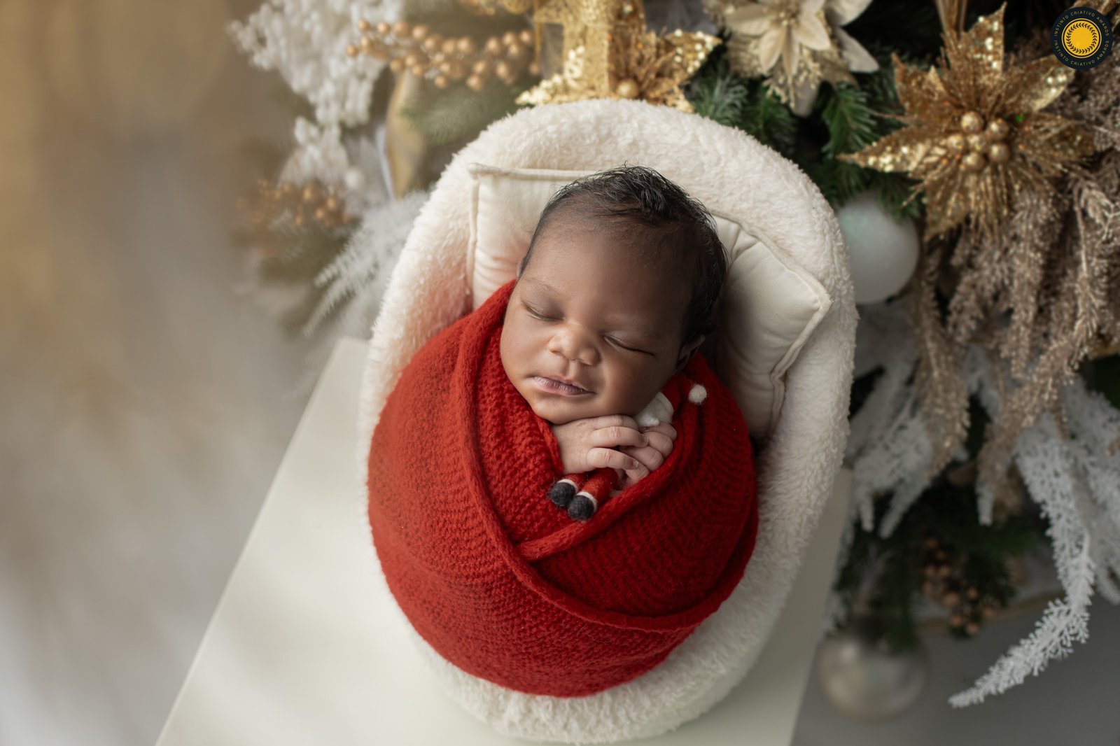 Leticia Cappato Photography - Concurso de Newborn 2º Round - 2025