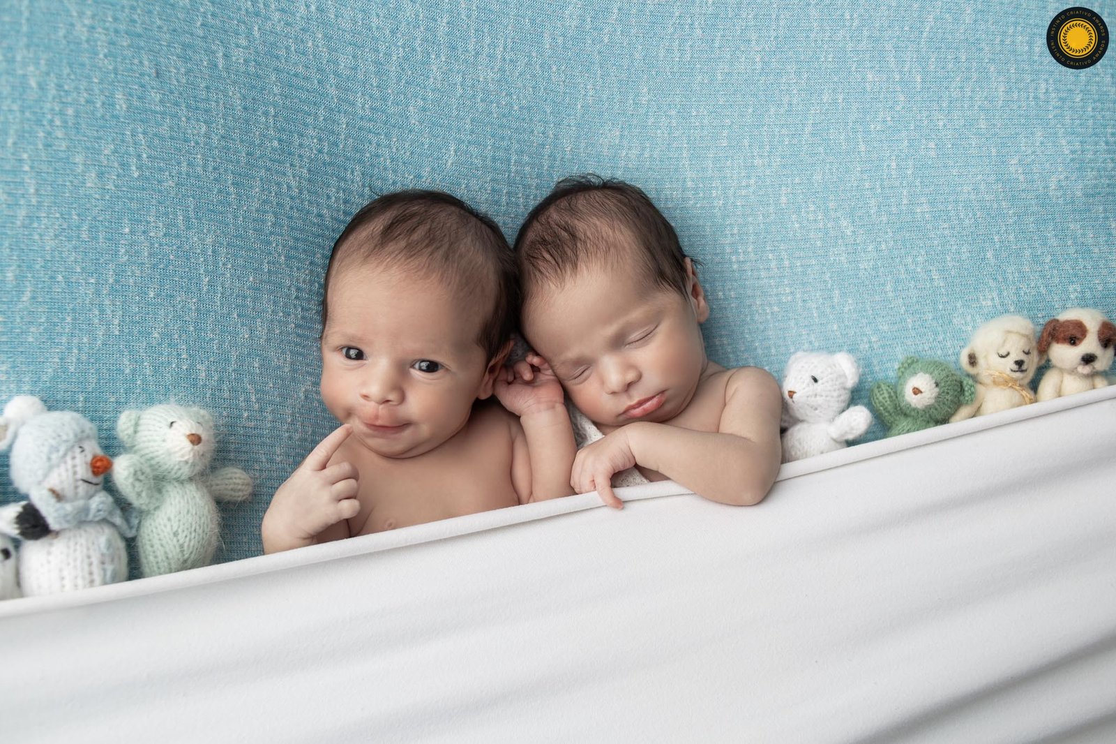 Leticia Cappato Photography - Concurso de Newborn 2º Round - 2025