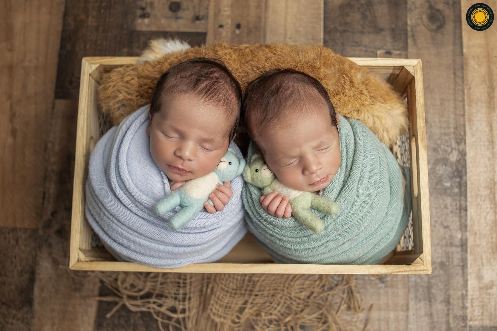 Leticia Cappato Photography - Concurso de Newborn 2º Round - 2025