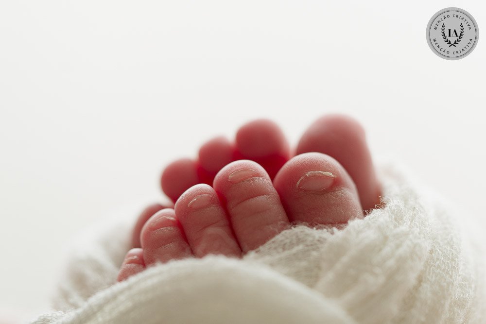 Fernando Schell - Concurso de Newborn 3º Round - 2025