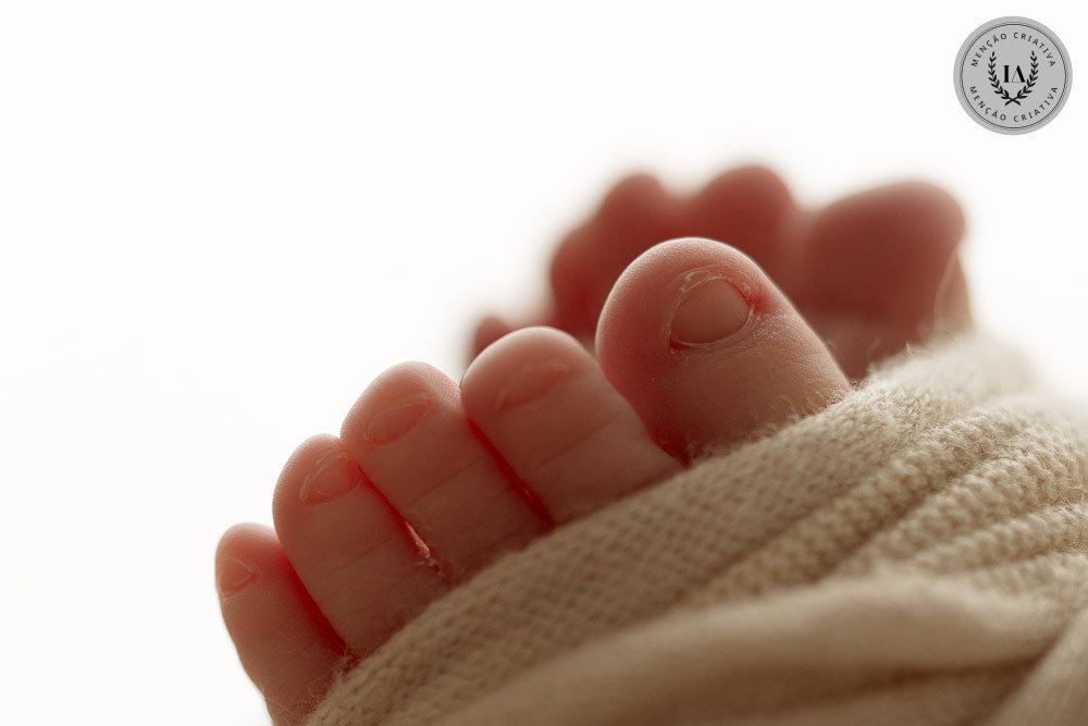 Fernando Schell - Concurso de Newborn 3º Round - 2025