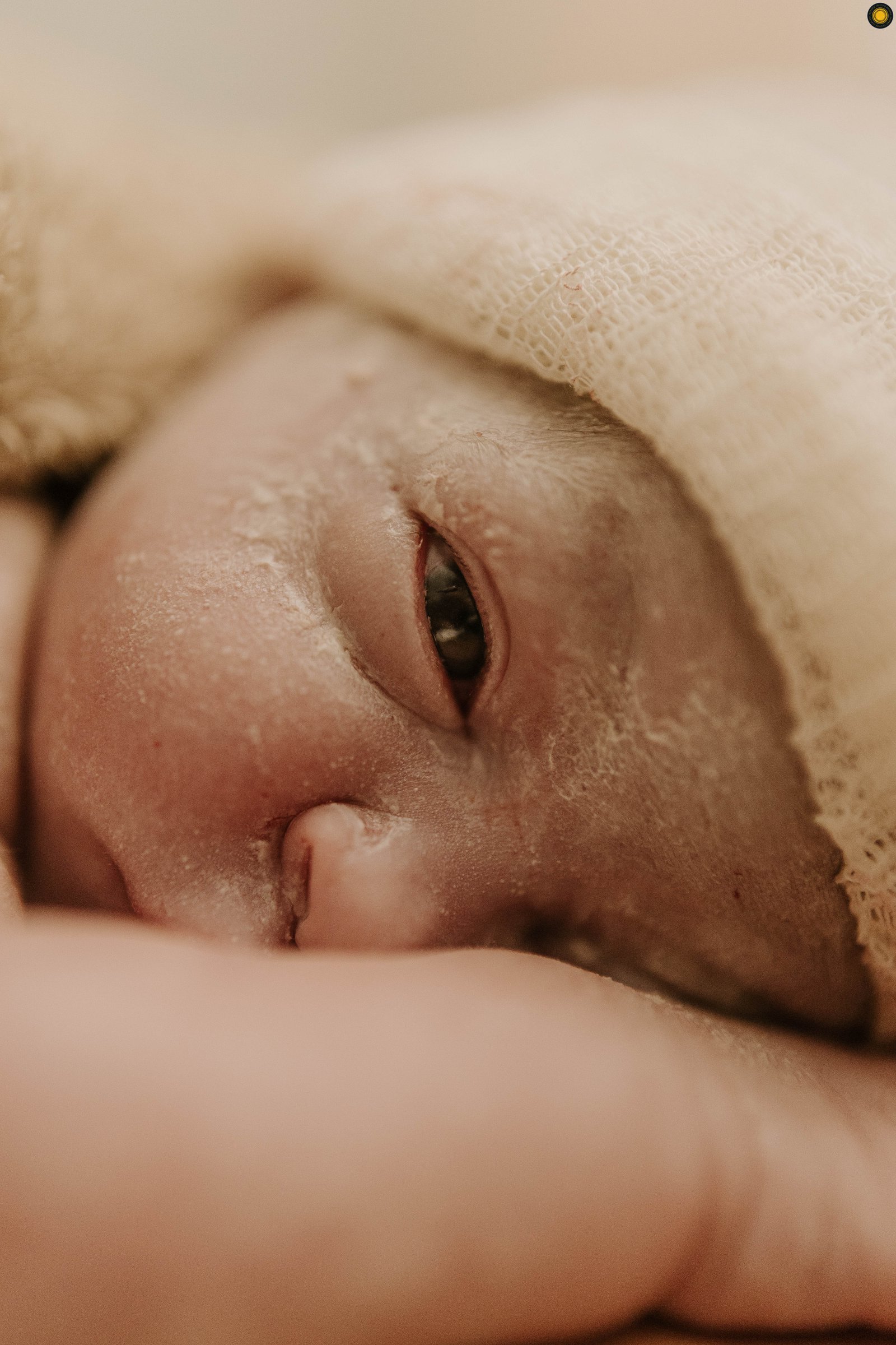 Liliane Carnevalli - Concurso de Parto 1º Round - 2025