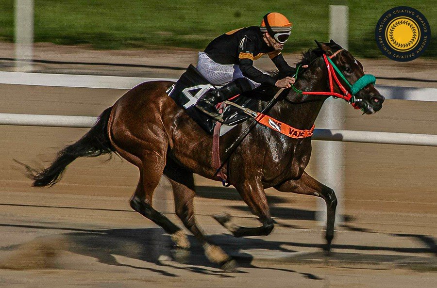 Ale Grand - Fotografia de Esporte 1º Round - 2025