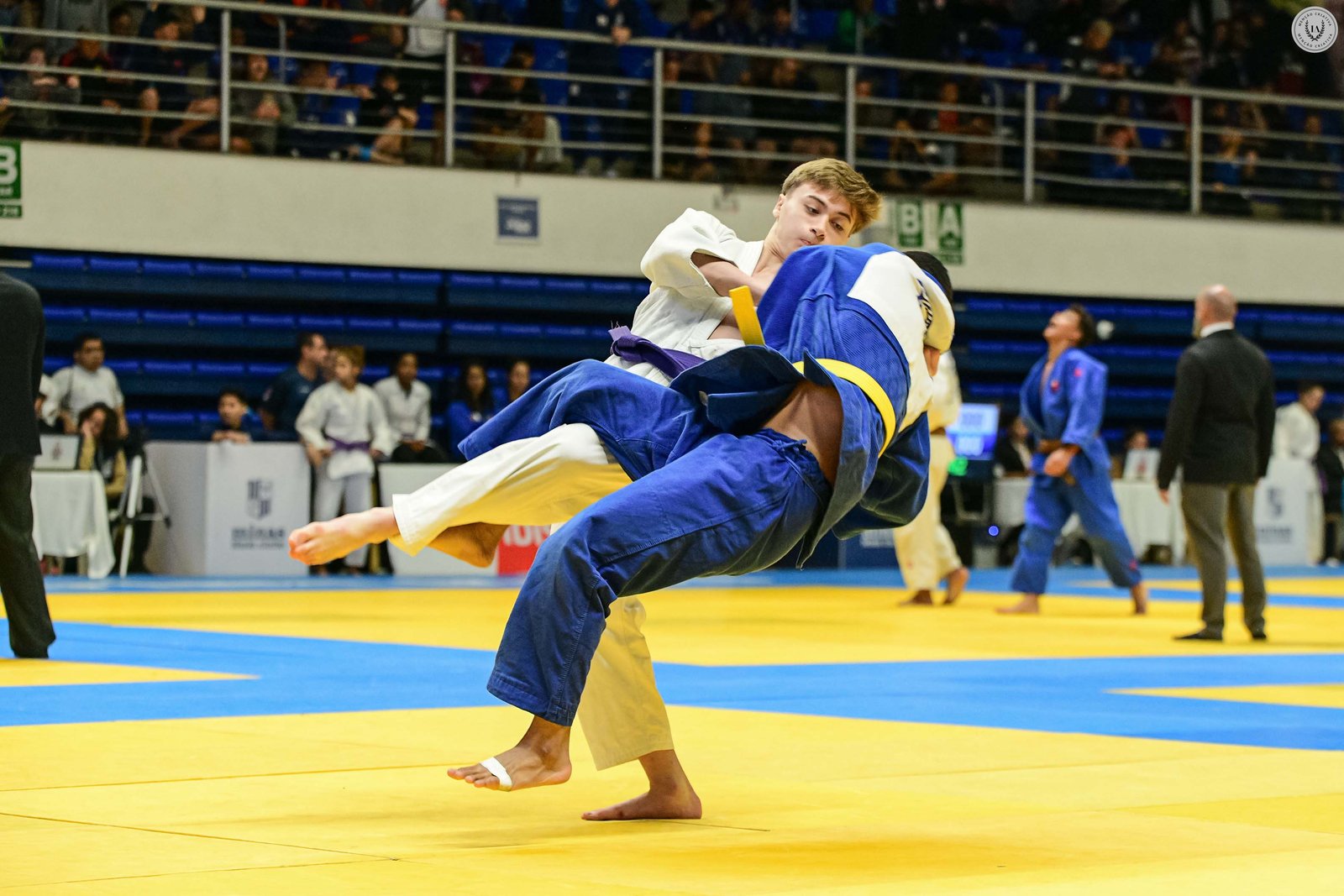 Anderson Luiz Neves Da Silva - Fotografia de Esporte 4º Round - 2025