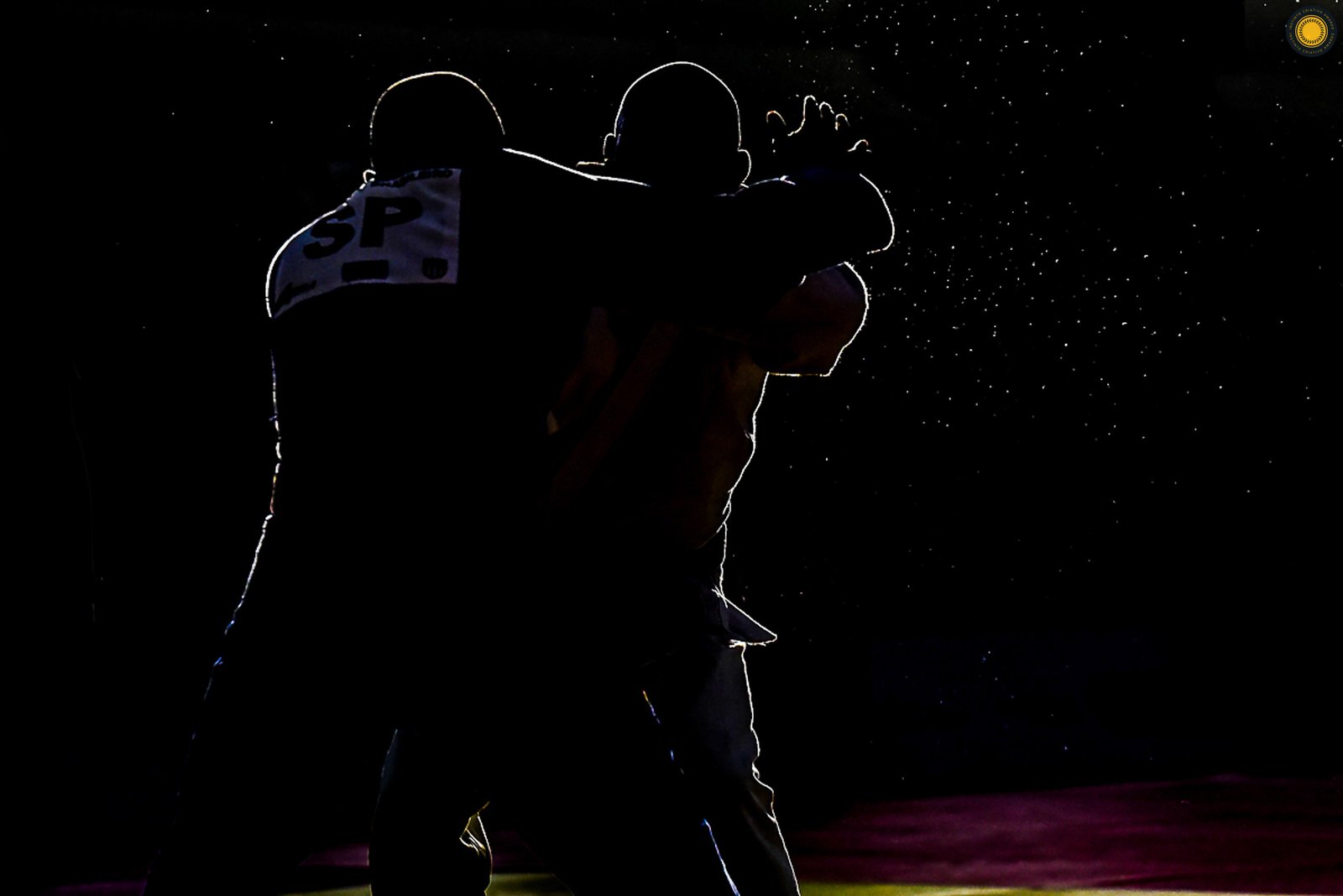 Anderson Luiz Neves Da Silva - Fotografia de Esporte 4º Round - 2025