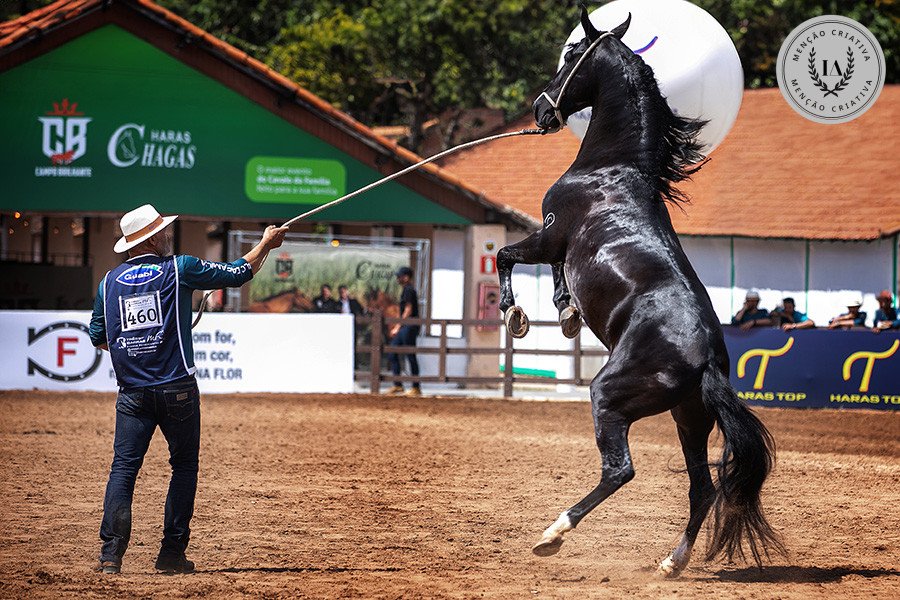 Tarik Baldan - Fotografia de Esporte 2º Round - 2026