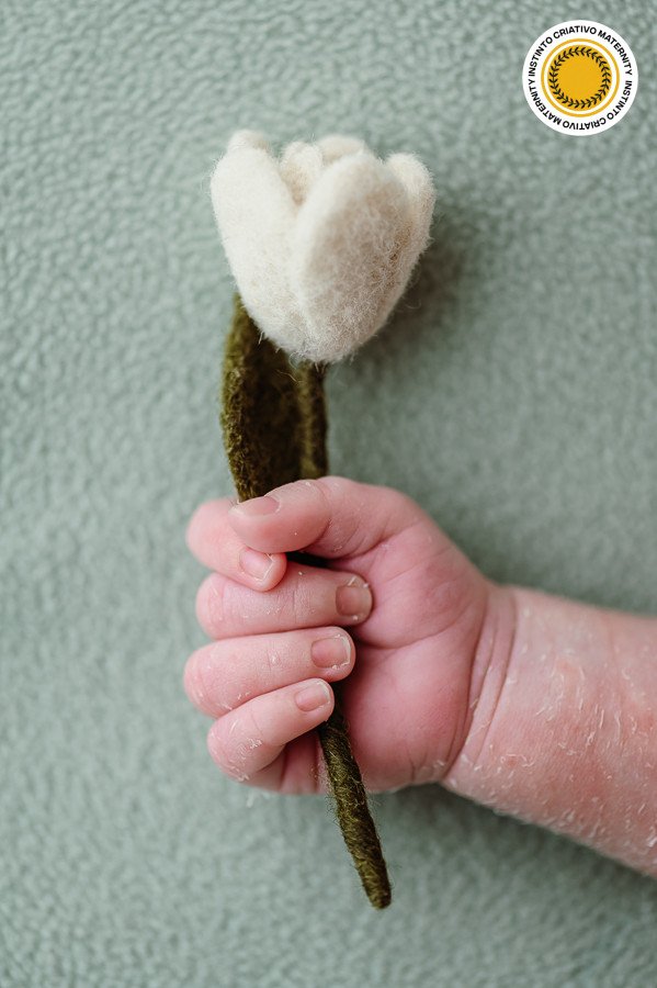 Karol Monarini - MaternityNewBorn 3º Round - 2025