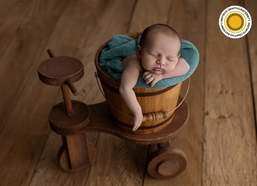 Barbara Pollyana Goncalves - MaternityNewBorn 4º Round - 2025