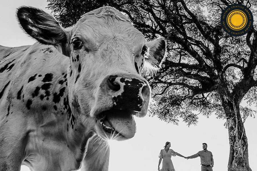 Jonatan Diego - Concurso de Casamentos 4º Round - 2025