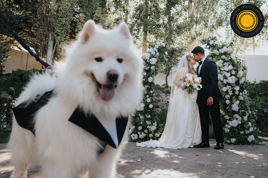 Anderson Marques - Concurso de Casamentos 2º Round - 2026