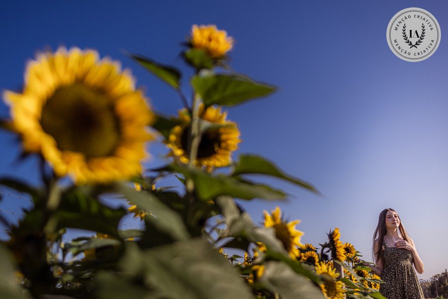 Joice Suelen Stein - Concurso de Debutântes 4º Round - 2025