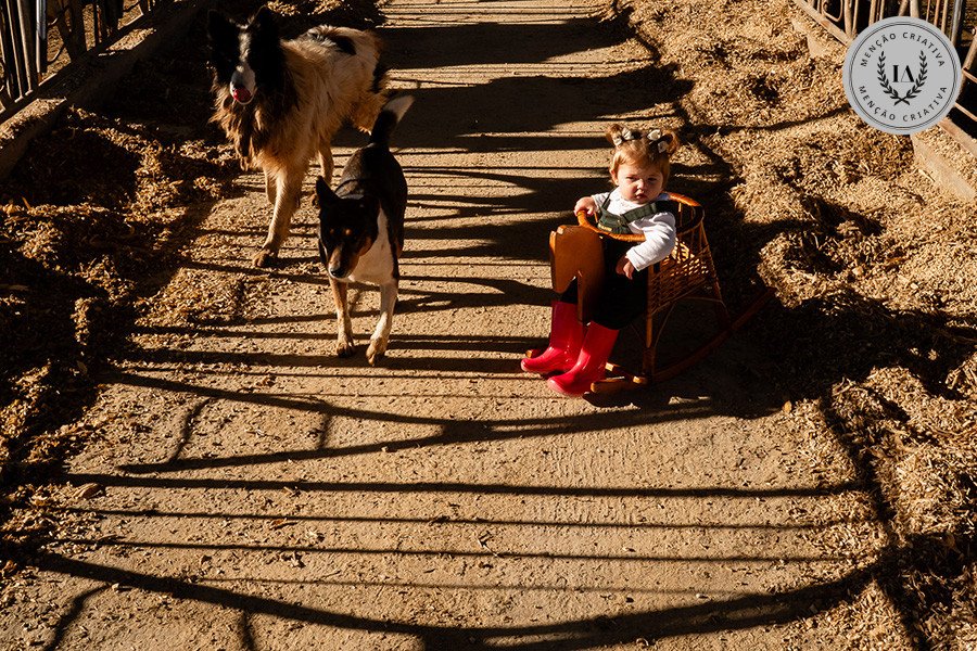 Michele Staggemeier - Concurso de Família 4º Round - 2025