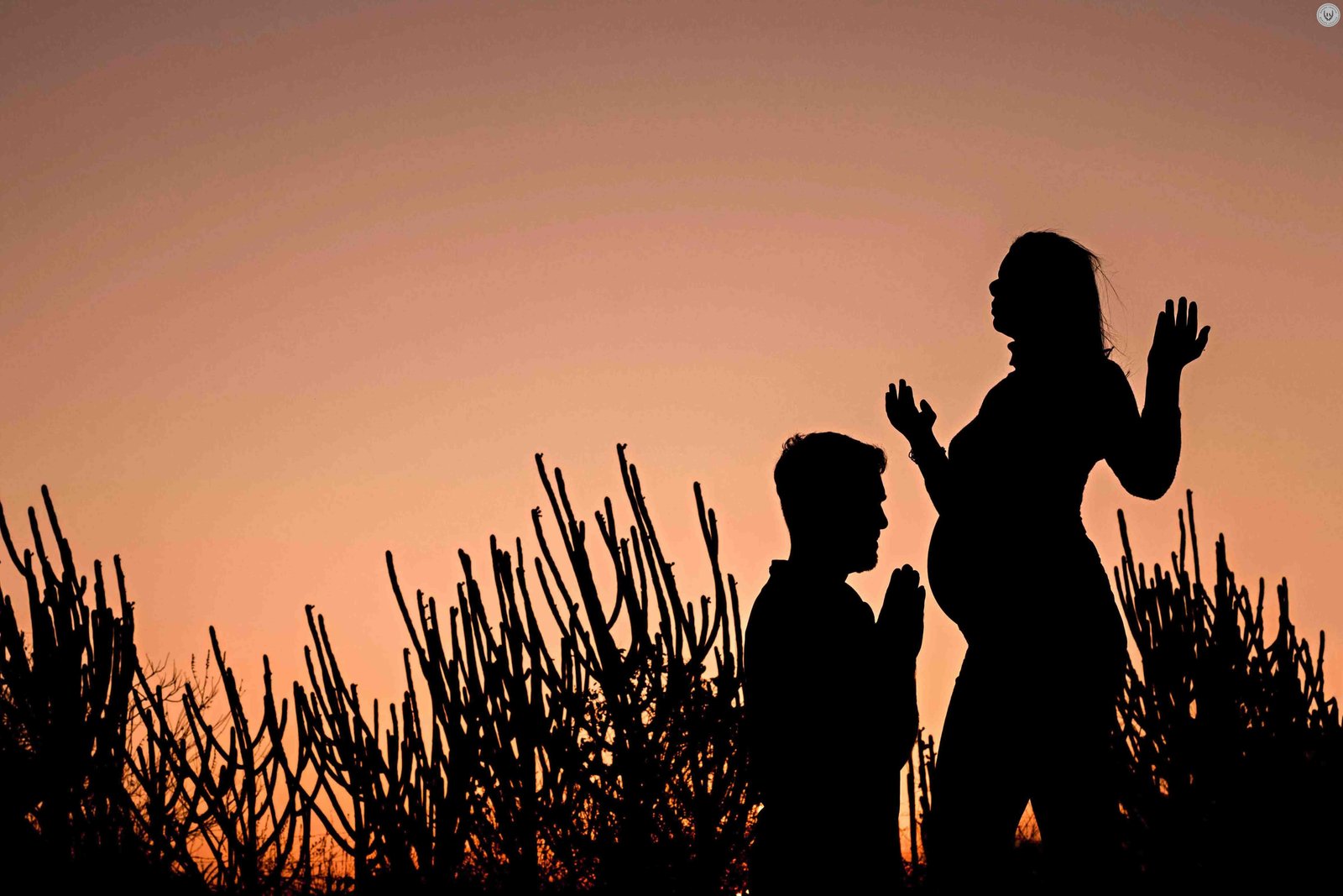 Rayssa Daniele Ferreira Da Silva Freitas - Concurso de Família 4º Round - 2025