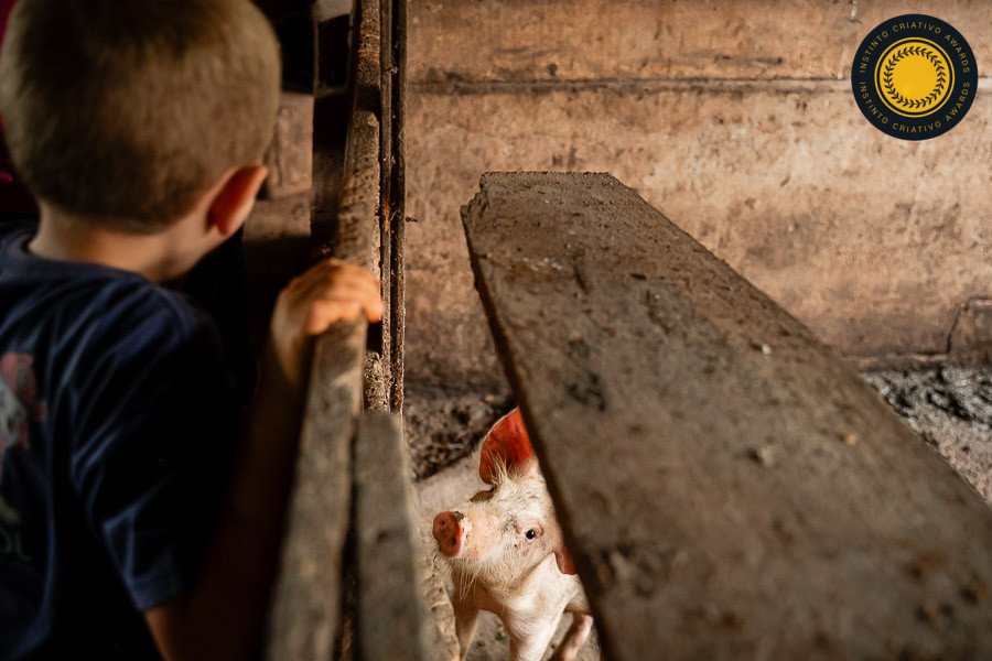 Michele Staggemeier - Concurso de Família 4º Round - 2025