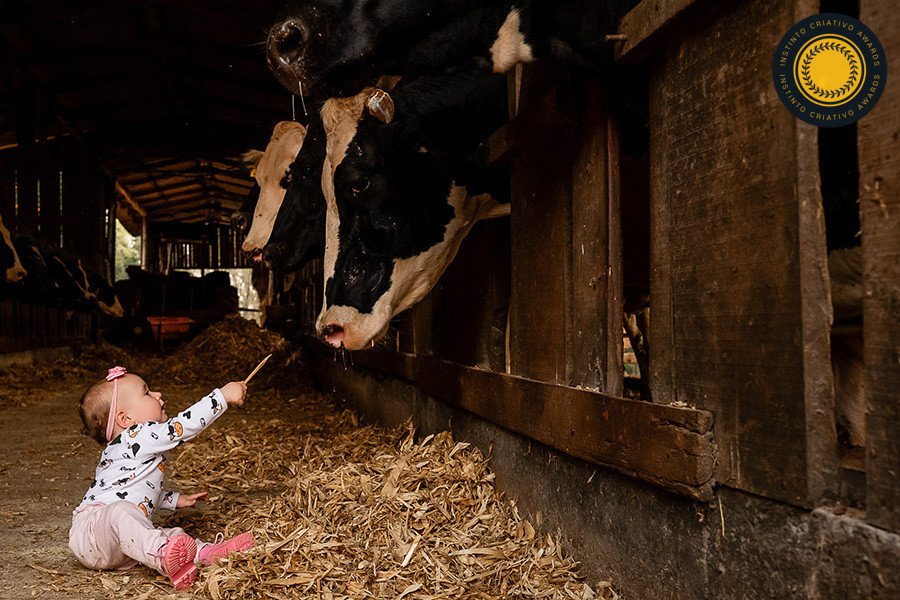 Michele Staggemeier - Concurso de Família 4º Round - 2025