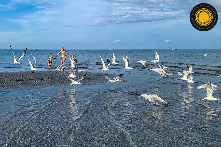 Petter Campagna - Concurso de Família 4º Round - 2025
