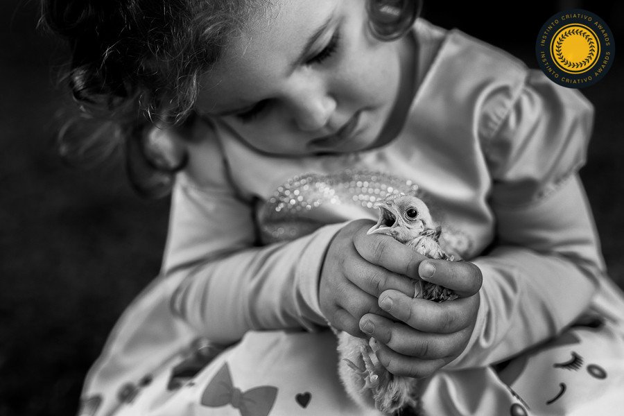 Fabiana Caus - Concurso de Família 2º Round - 2026