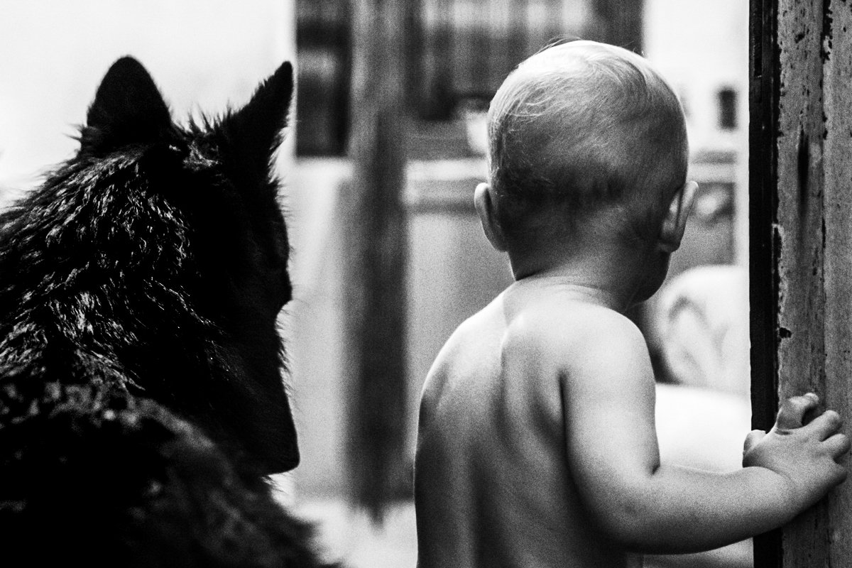 Capa de Zé Américo