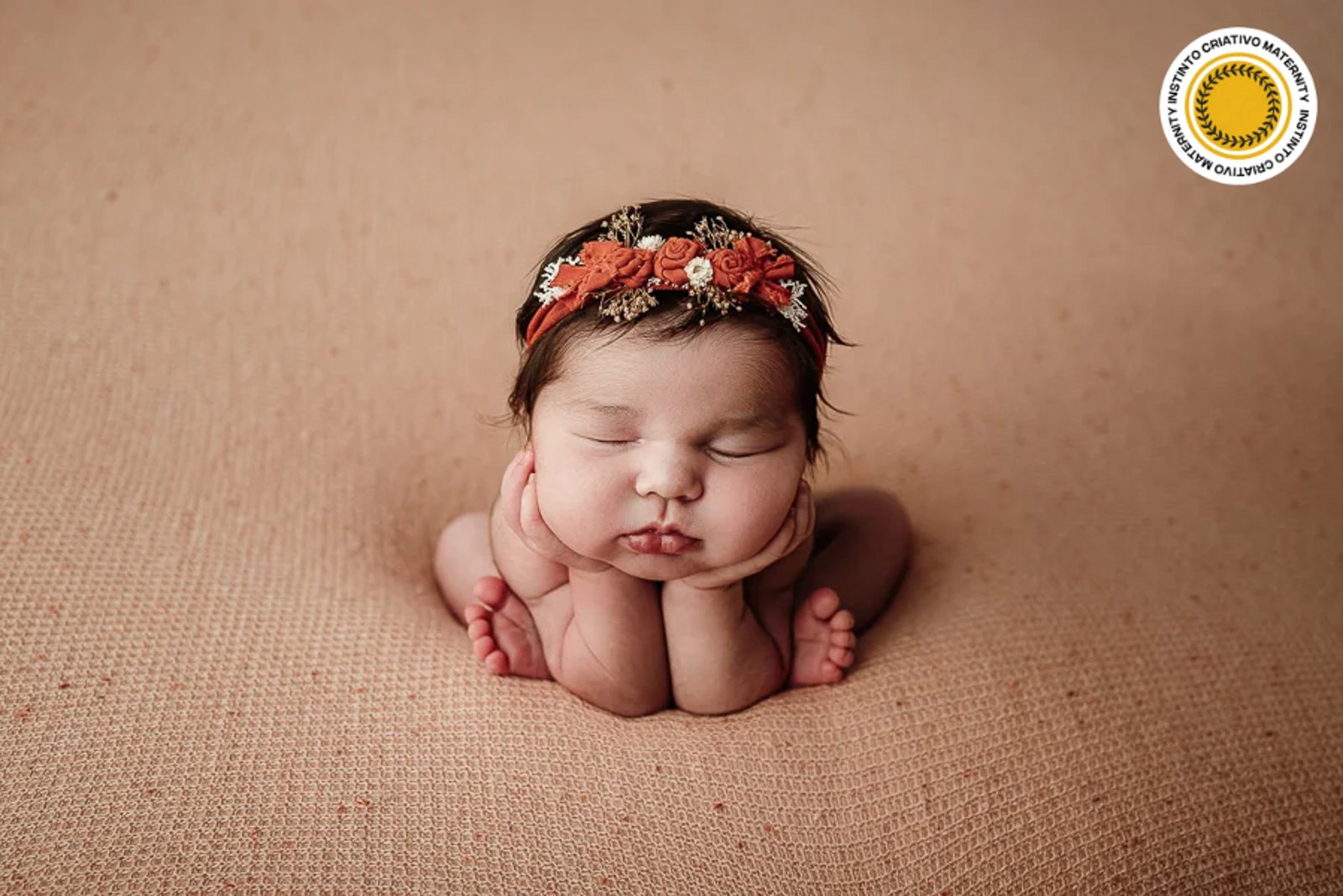 Banner de Karol Monarini