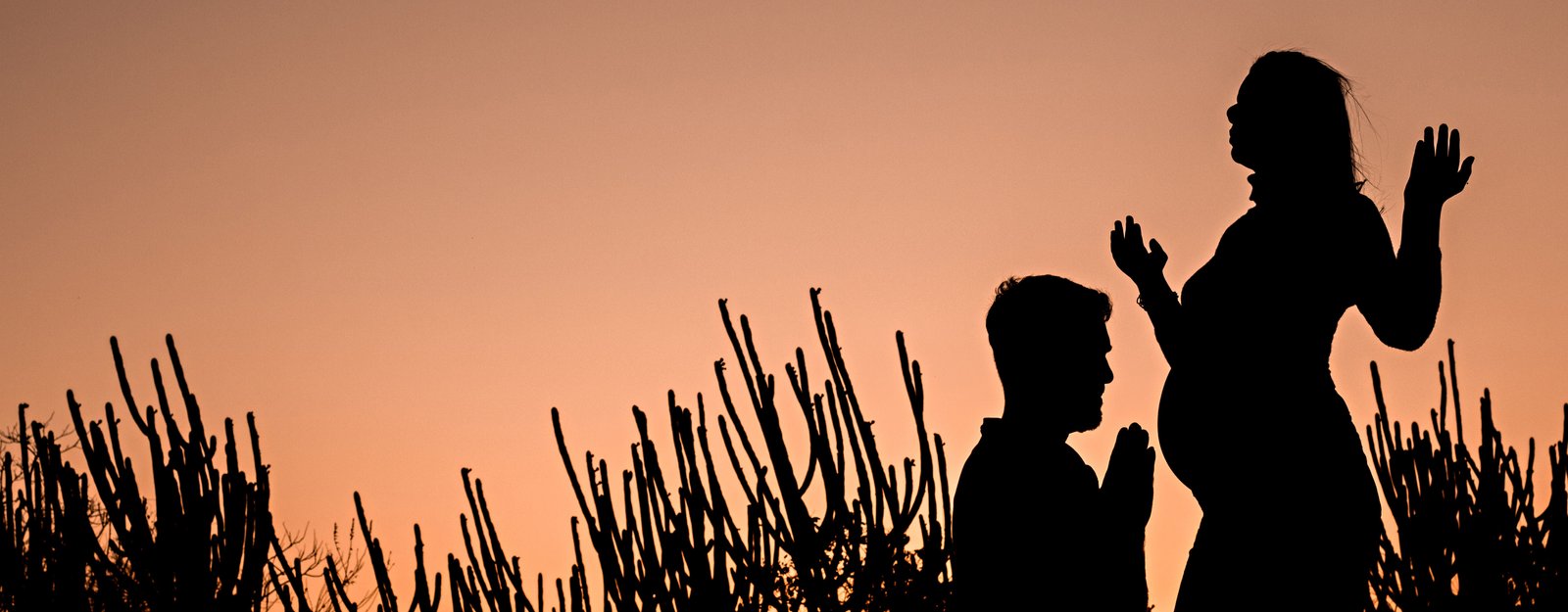 Banner de RAYSSA DANIELE FERREIRA DA SILVA FREITAS