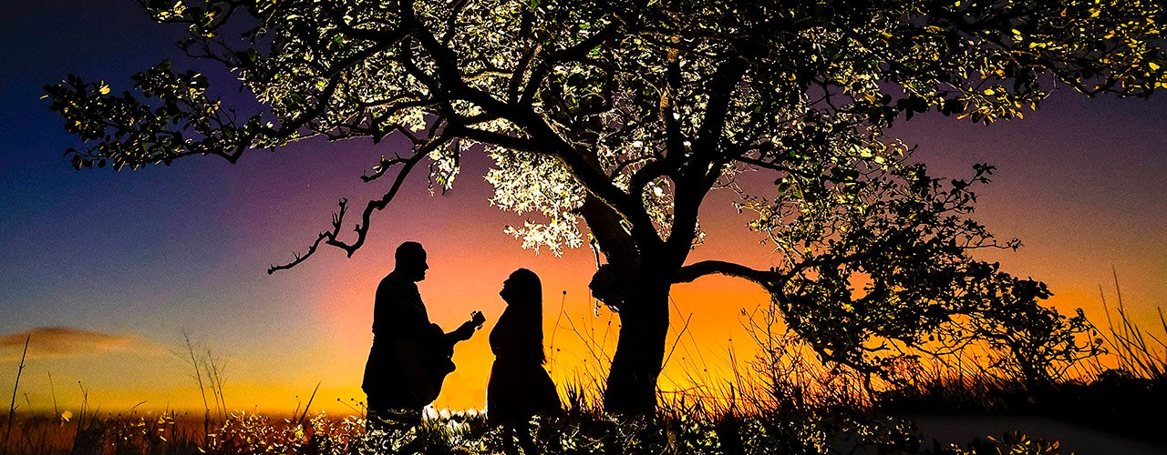 Banner de Ellen Veiga