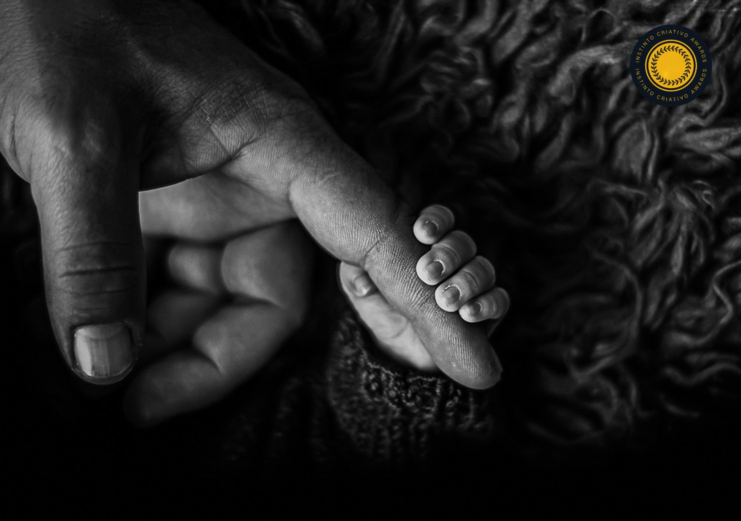 Banner de ALINE FONTES