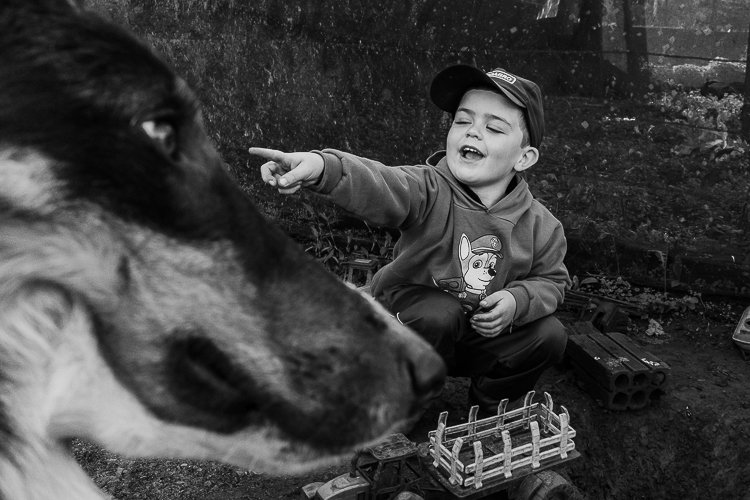 Banner de Vanessa Lubenow