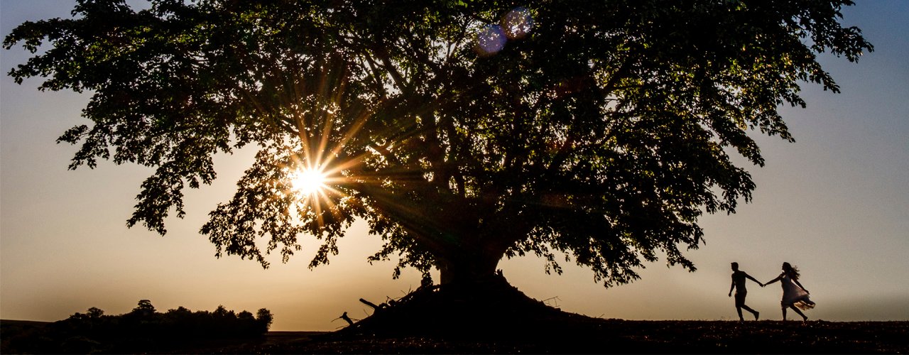 Banner de patricksartorifotografia