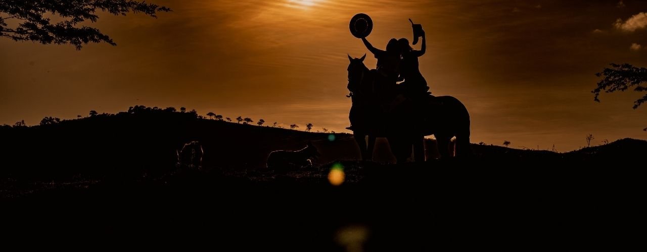 Banner de Martha Regina Rodrigues Ferreira