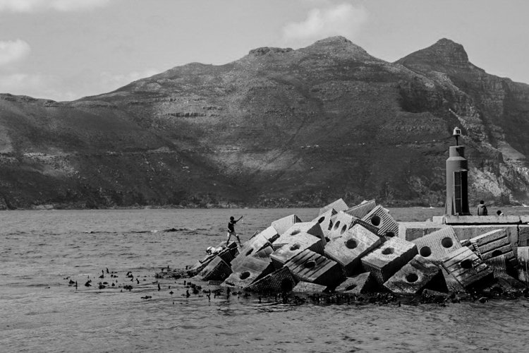 Banner de Ricardo Marty