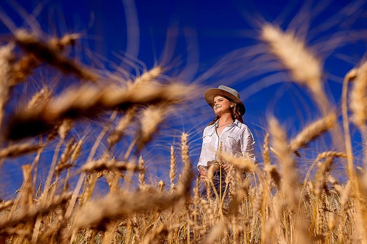 Banner de ELIAS SANTOS DE MELLO